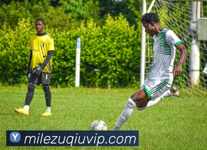 米乐体育平台生态图